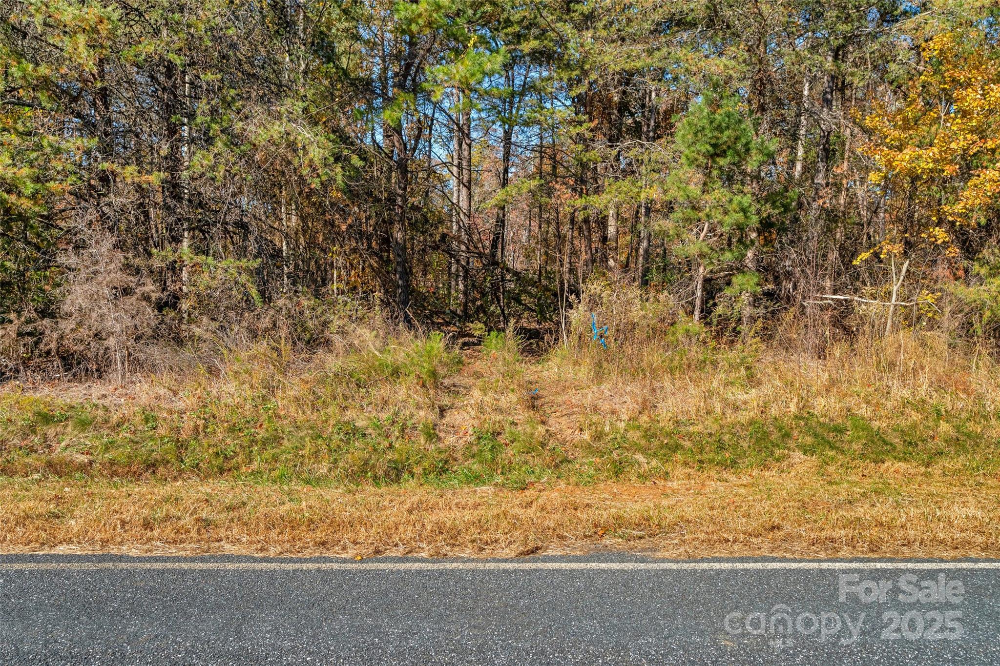 0 Bud Davis Road, Unit 5 Vale, NC 28168 - Photo 13 of 27