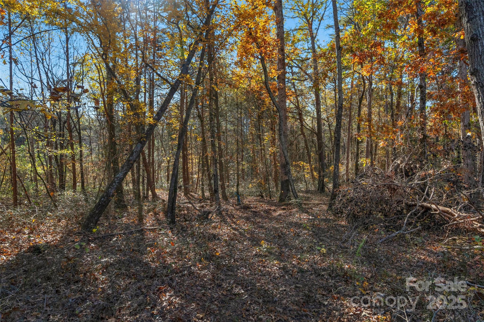 0 Bud Davis Road, Unit 1 Vale, NC 28168 - Photo 17 of 27 a view of a yard with large trees