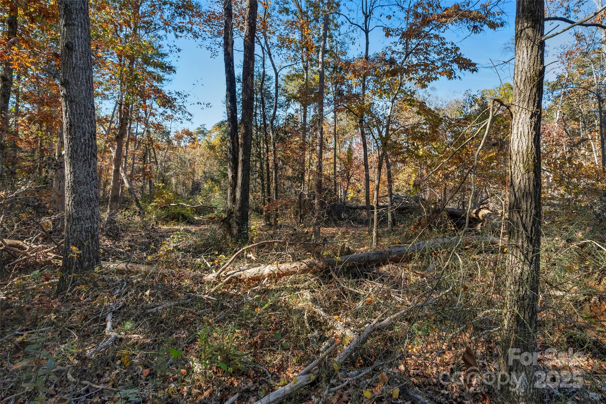 0 Bud Davis Road, Unit 5 Vale, NC 28168 - Photo 18 of 27
