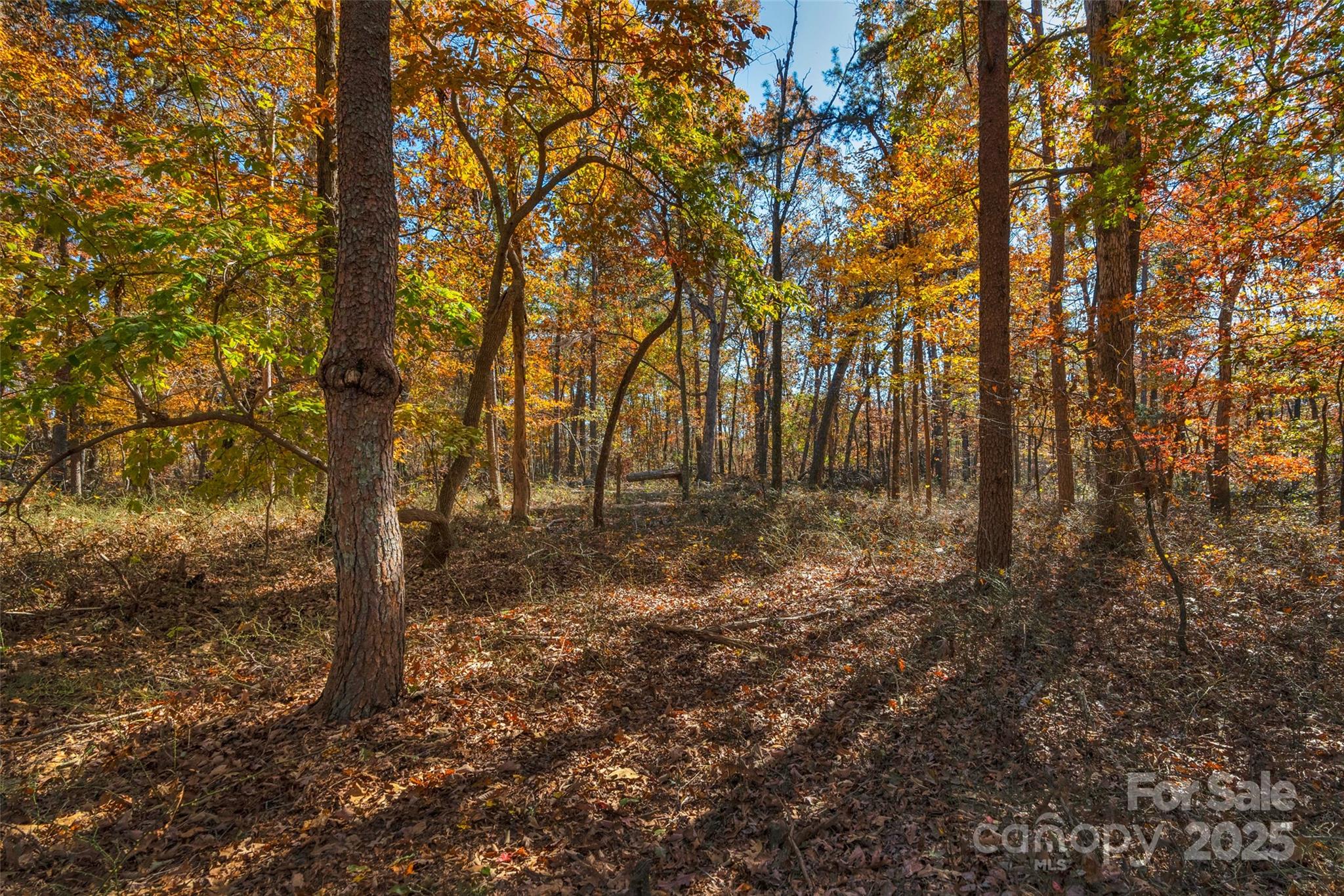 0 Bud Davis Road, Unit 5 Vale, NC 28168 - Photo 21 of 27 a view of outdoor space with lots of trees