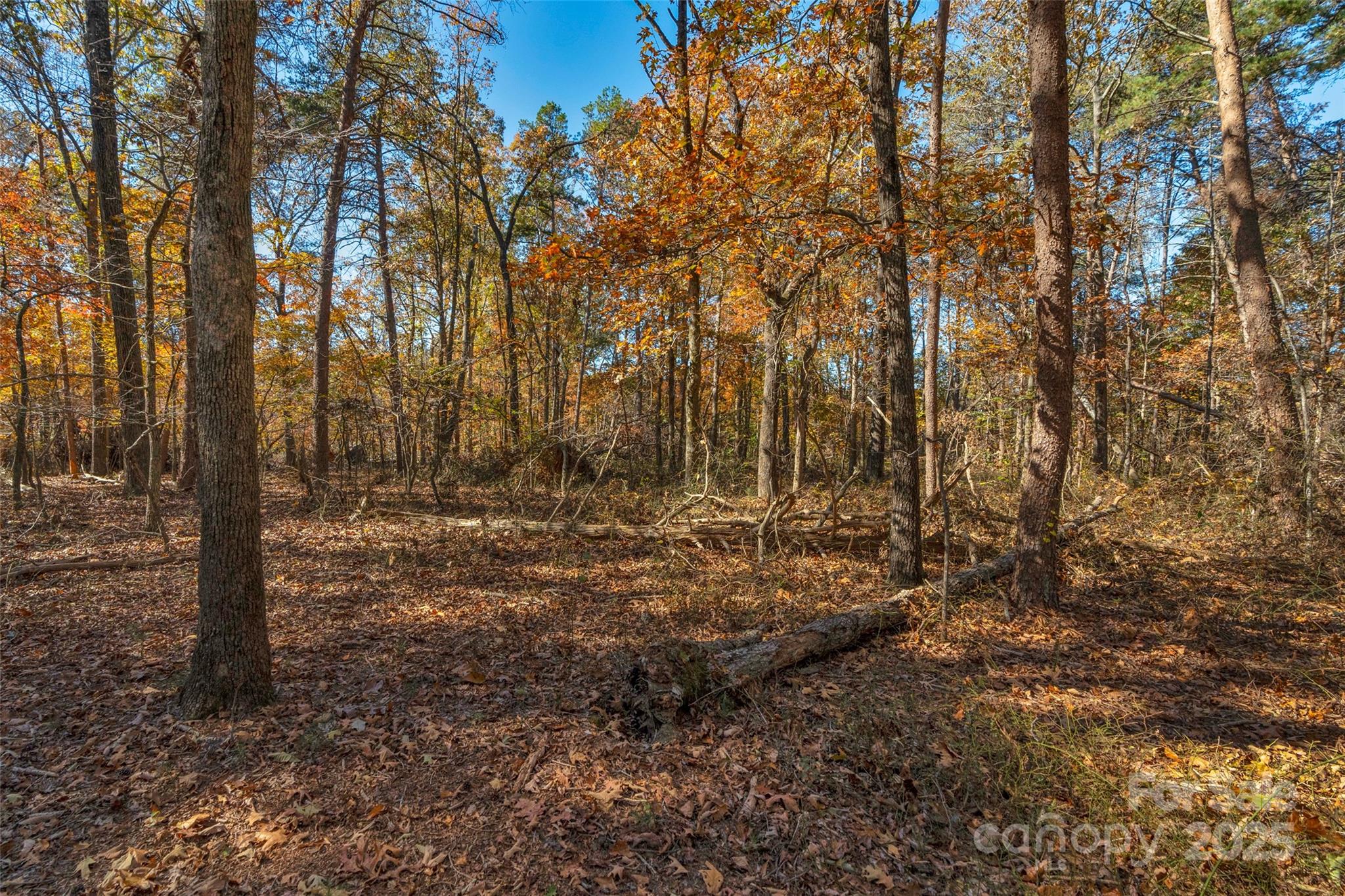 0 Bud Davis Road, Unit 5 Vale, NC 28168 - Photo 22 of 27 a view of a yard with lots of bushes