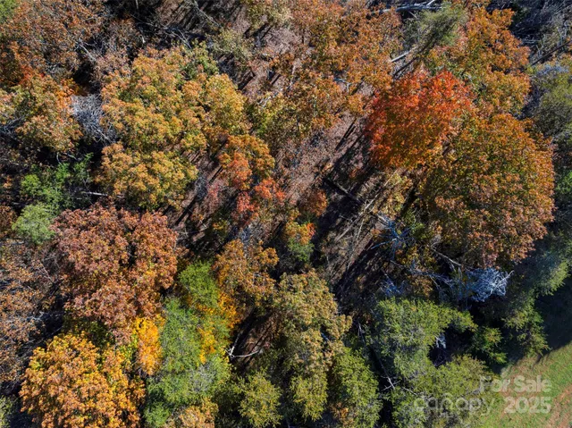 $85,000 | 0 Bud Davis Road, Unit 5, Vale, NC 28168