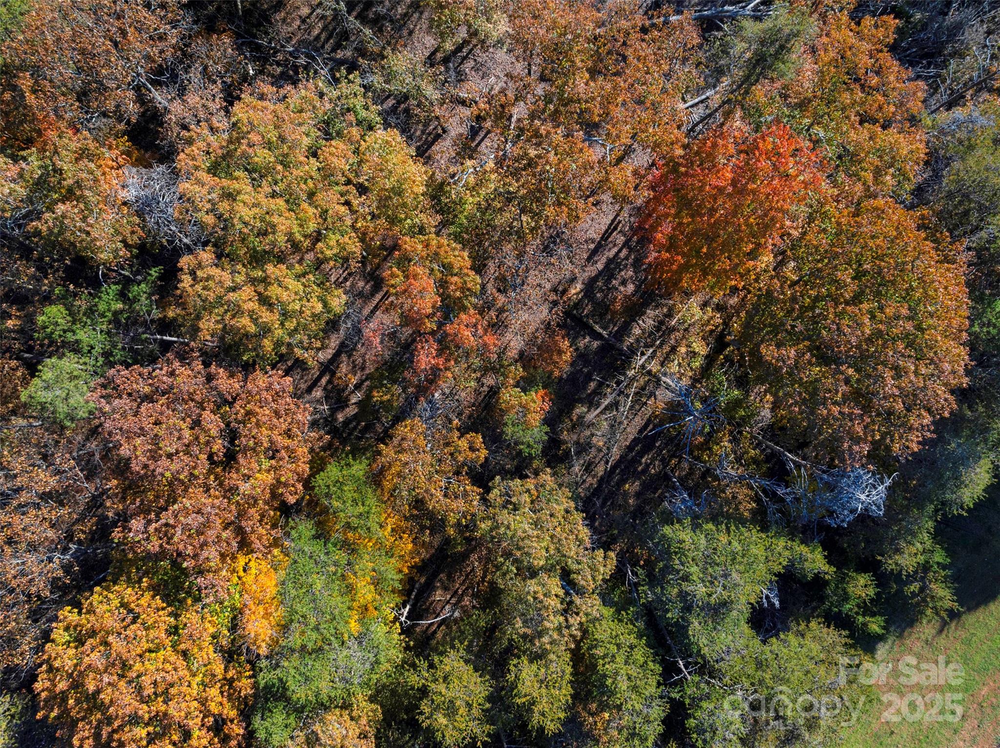 0 Bud Davis Road, Unit 5 Vale, NC 28168 - Photo 26 of 27