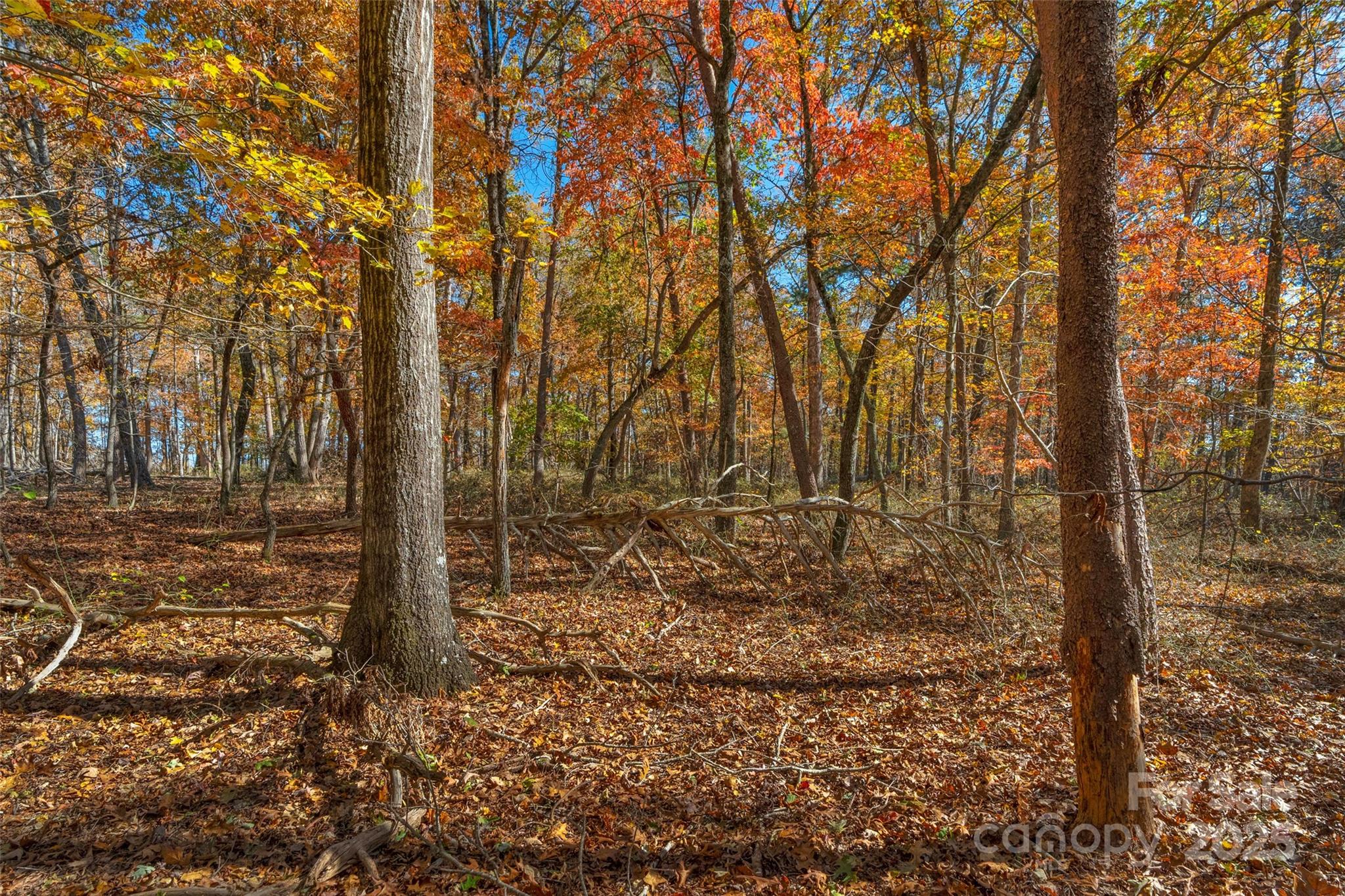 0 Bud Davis Road, Unit 1 Vale, NC 28168 - Photo 5 of 27 a view of a yard with large trees