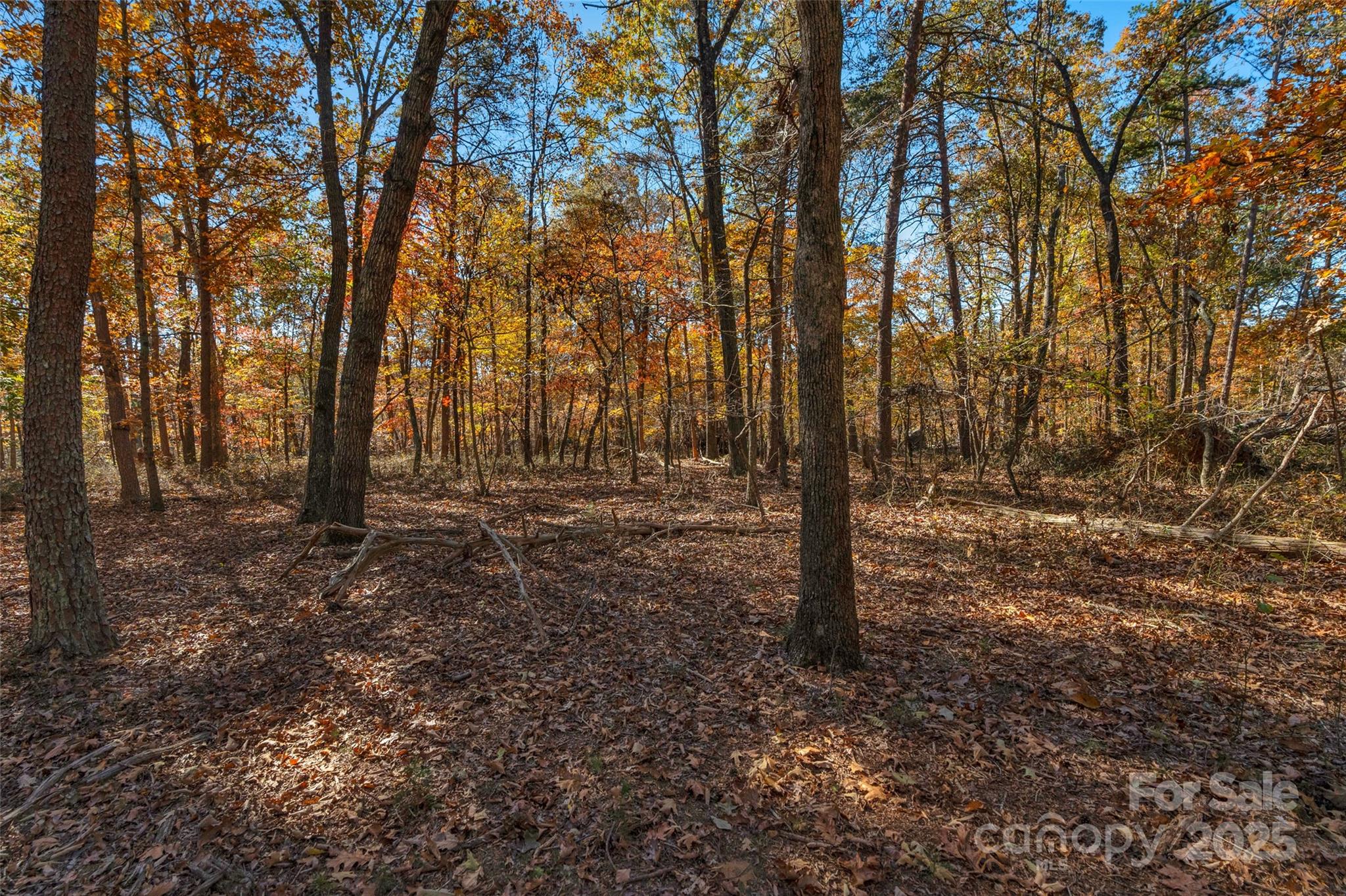 0 Bud Davis Road, Unit 5 Vale, NC 28168 - Photo 6 of 27 a view of outdoor space with trees