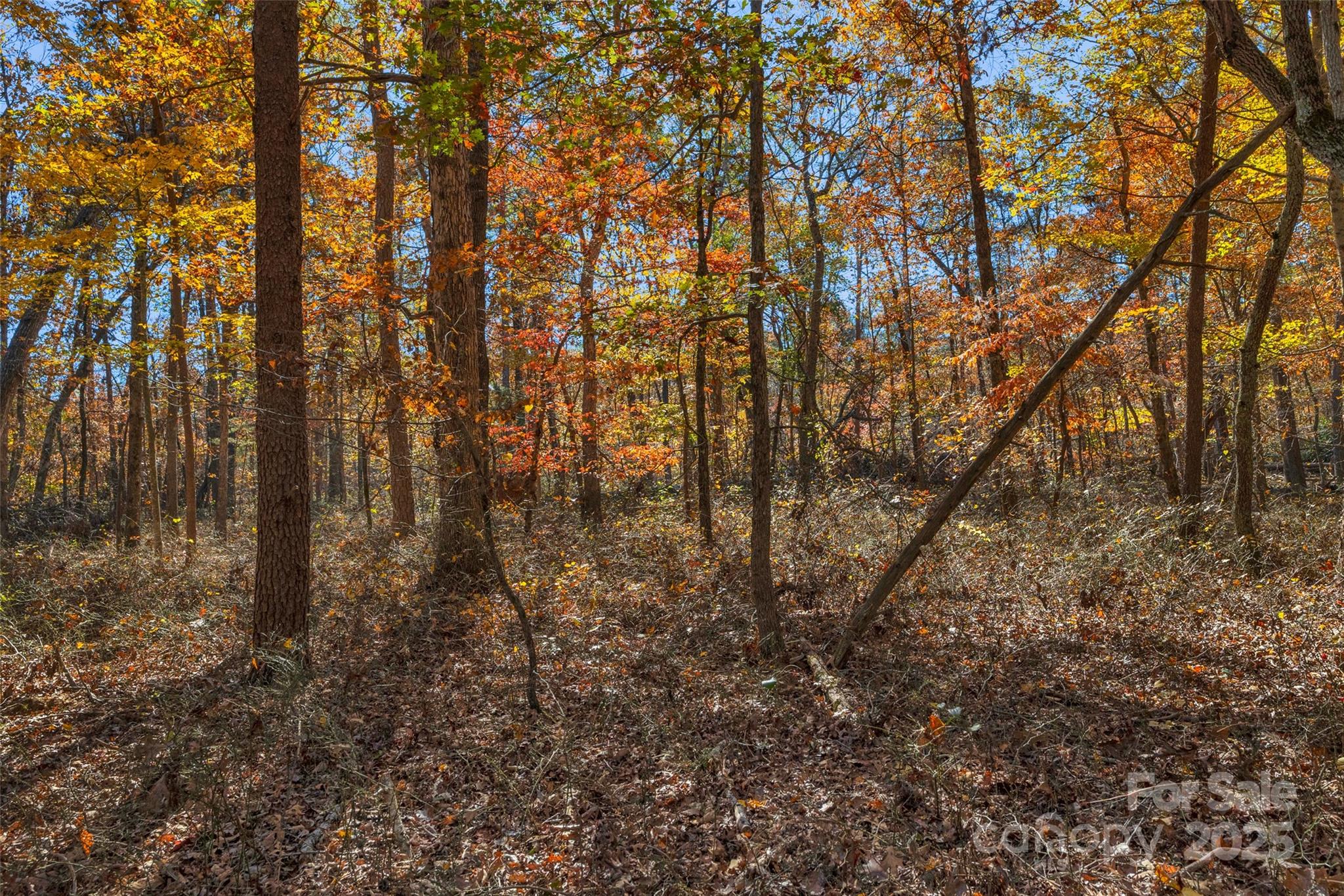 0 Bud Davis Road, Unit 5 Vale, NC 28168 - Photo 10 of 27 a view of forest