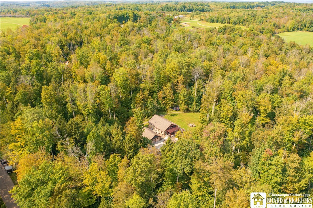 5334 Cheney Road North Harmony, NY 14710 - Photo 2 of 32 OVER VIEW OF 16 ACRES