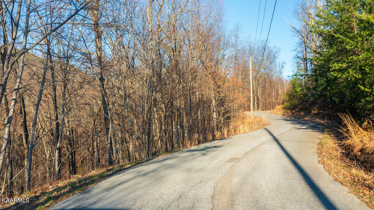 Big Bear Ridge Road Gatlinburg, TN 37738 - Photo 17 of 19 homesandvideos aerials-2251