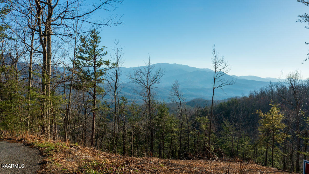 Big Bear Ridge Road Gatlinburg, TN 37738 - Photo 2 of 19 homesandvideos aerials-2236