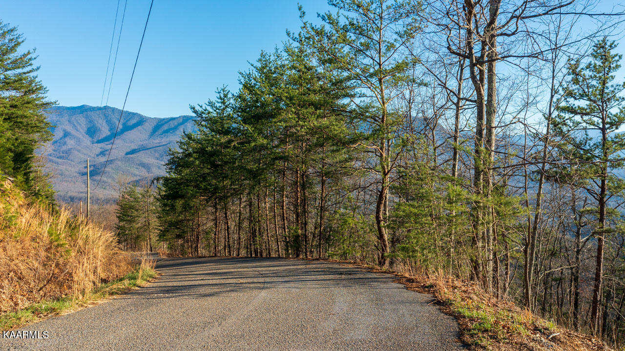 Big Bear Ridge Road Gatlinburg, TN 37738 - Photo 3 of 19 homesandvideos aerials-2237