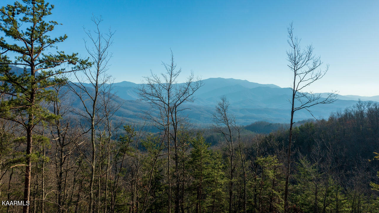 Big Bear Ridge Road Gatlinburg, TN 37738 - Photo 4 of 19 homesandvideos aerials-2238
