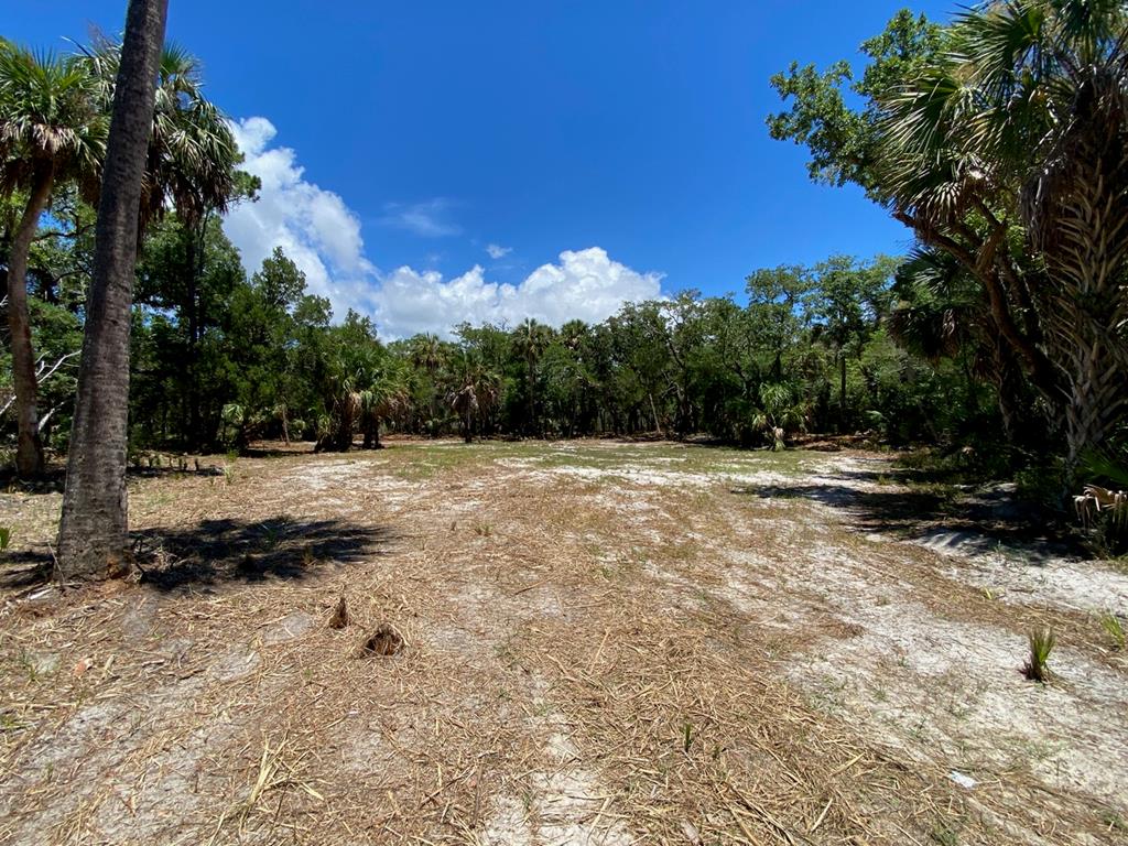Tbd3 Indian Pass Road Port St. Joe, FL 32456 - Photo 1 of 22