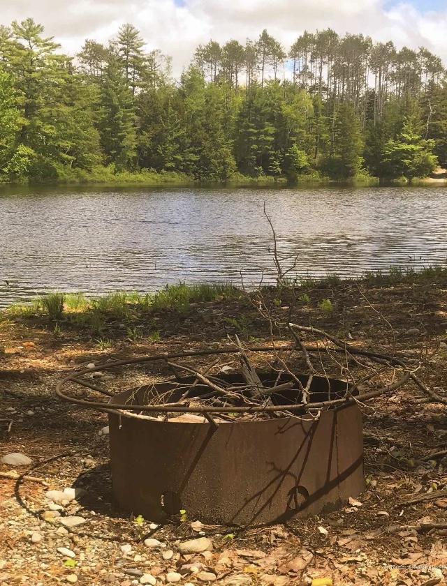 630 Springy Pond Road Ellsworth, ME 04605 - Photo 11 of 27 IMG_1219