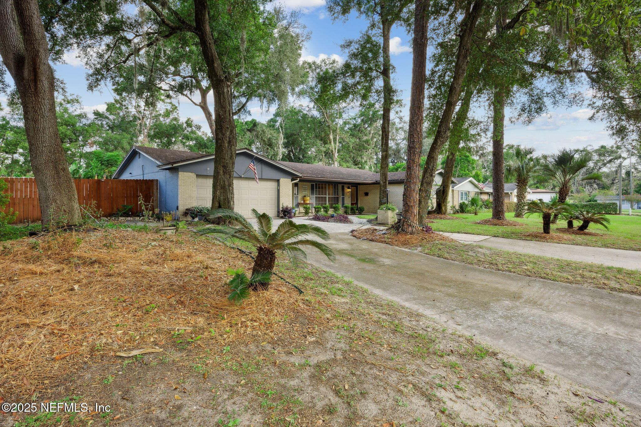 6305 Wuthering Heights Road Jacksonville, FL 32211 - Photo 8 of 53 a row of palm trees in front of a house