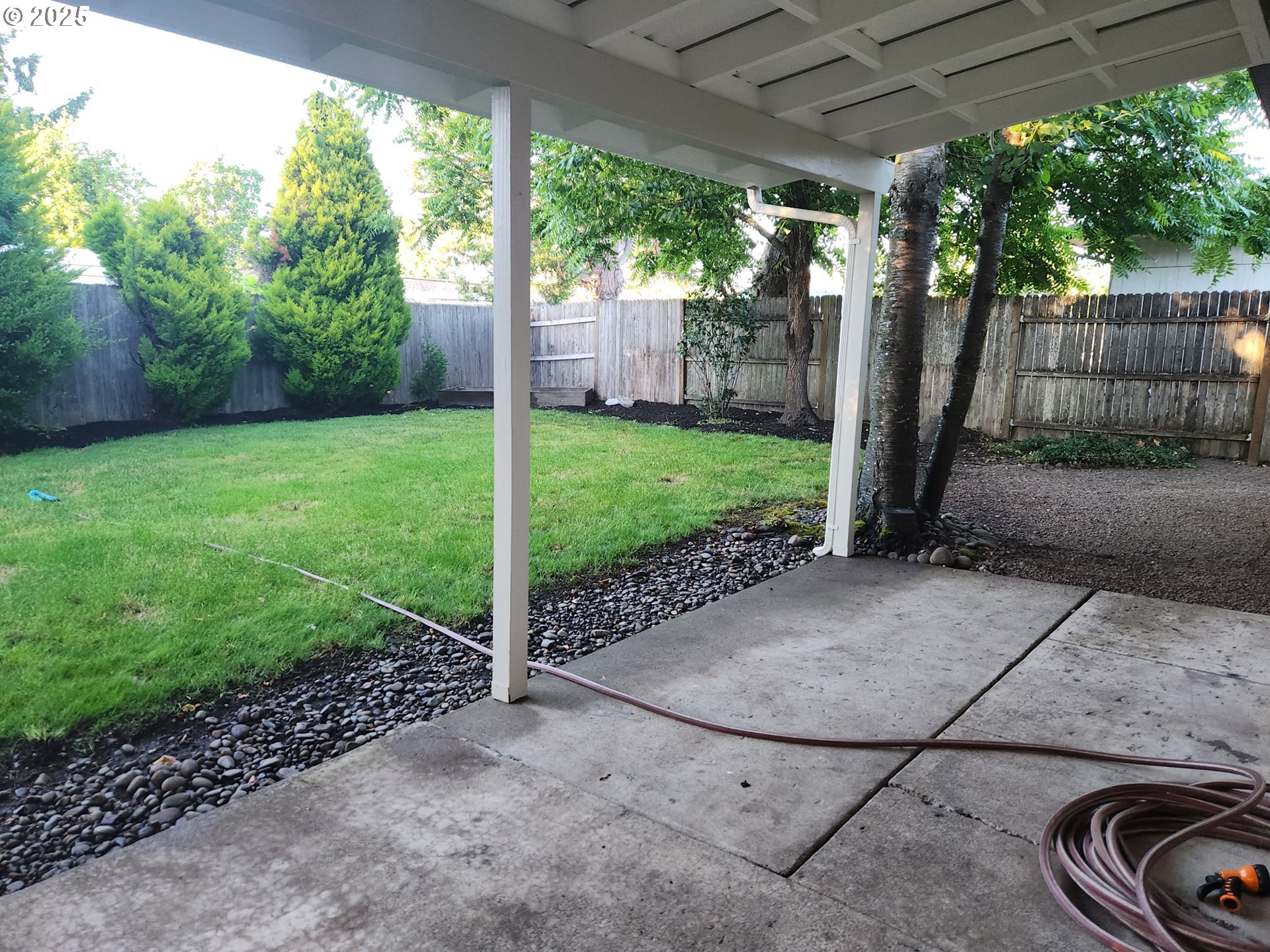 1132 Pleasant Street Springfield, OR 97477 - Photo 19 of 25 a view of a backyard with plants and a patio