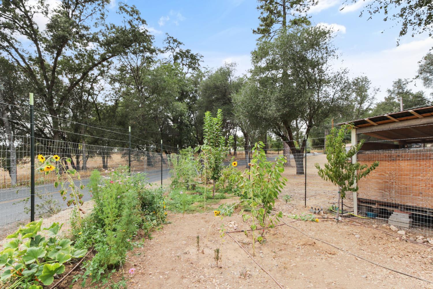 3671 Coon Hollow Road Placerville, CA 95667 - Photo 54 of 57 Gallery Image 54