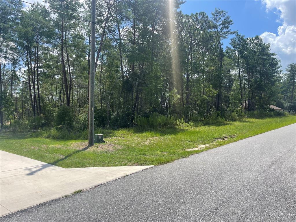 Tbd Southwest 164th Street Road Ocala, FL 34473 - Photo 1 of 1