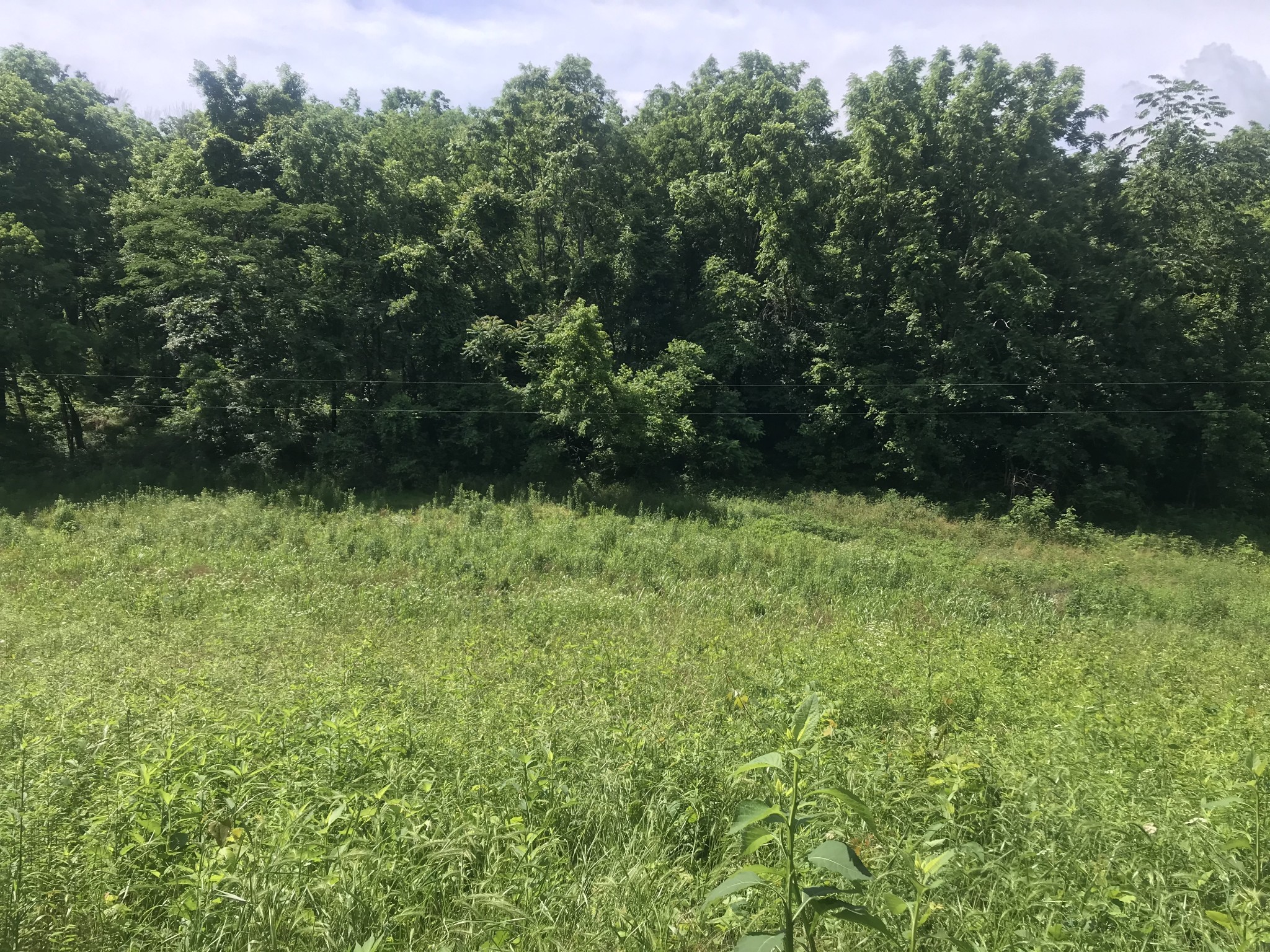 0 Moore Road Wartrace, TN 37183 - Photo 2 of 4 Gallery Image 2