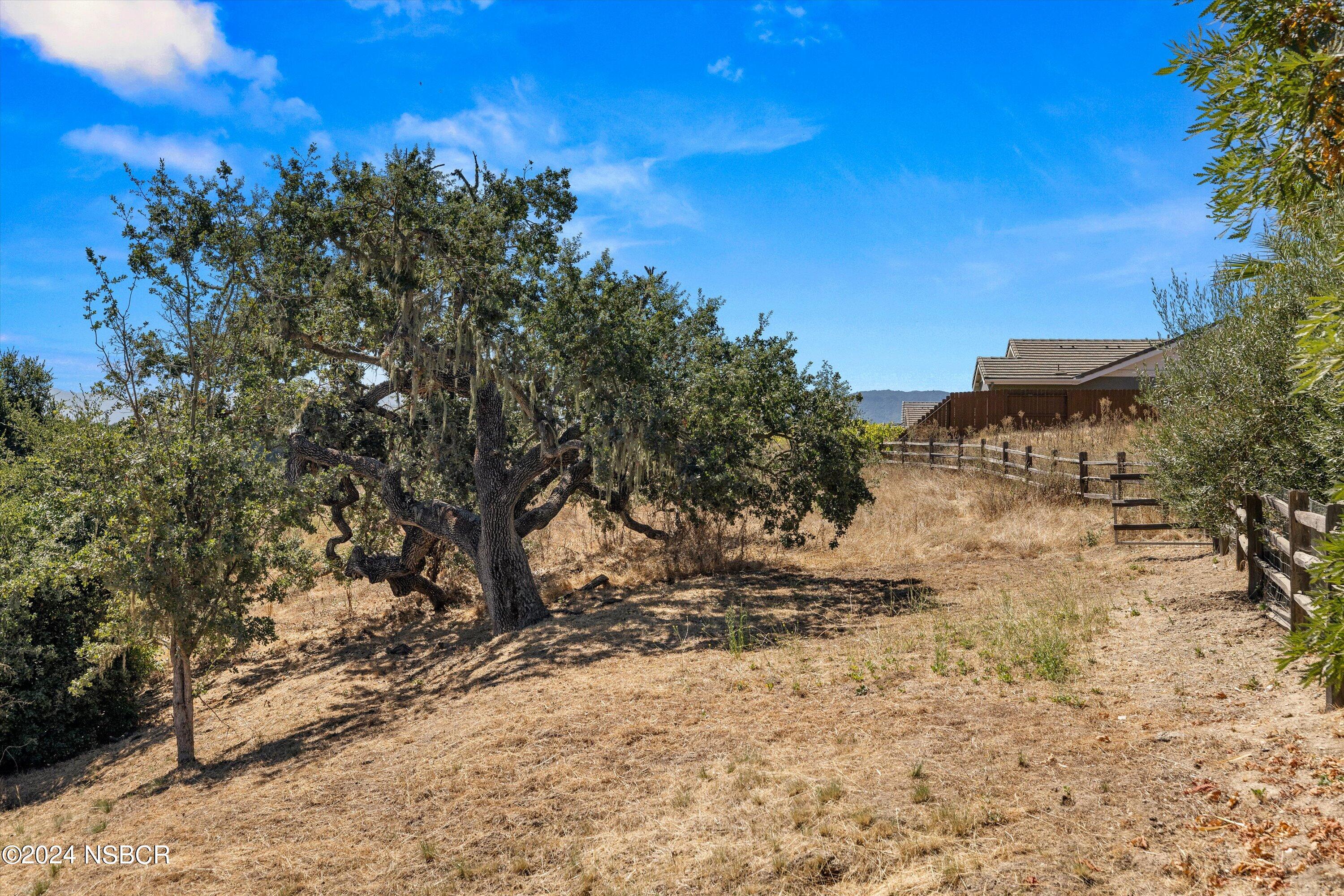 634 Valley Oak Road Solvang, CA 93463 - Photo 29 of 31 Backyard/Oak Tree