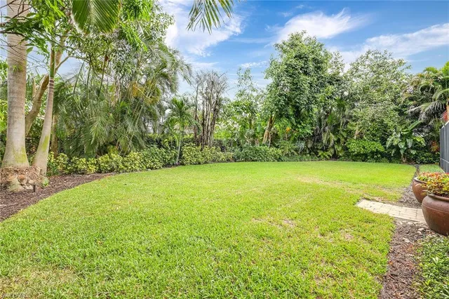 a view of a yard with a trees
