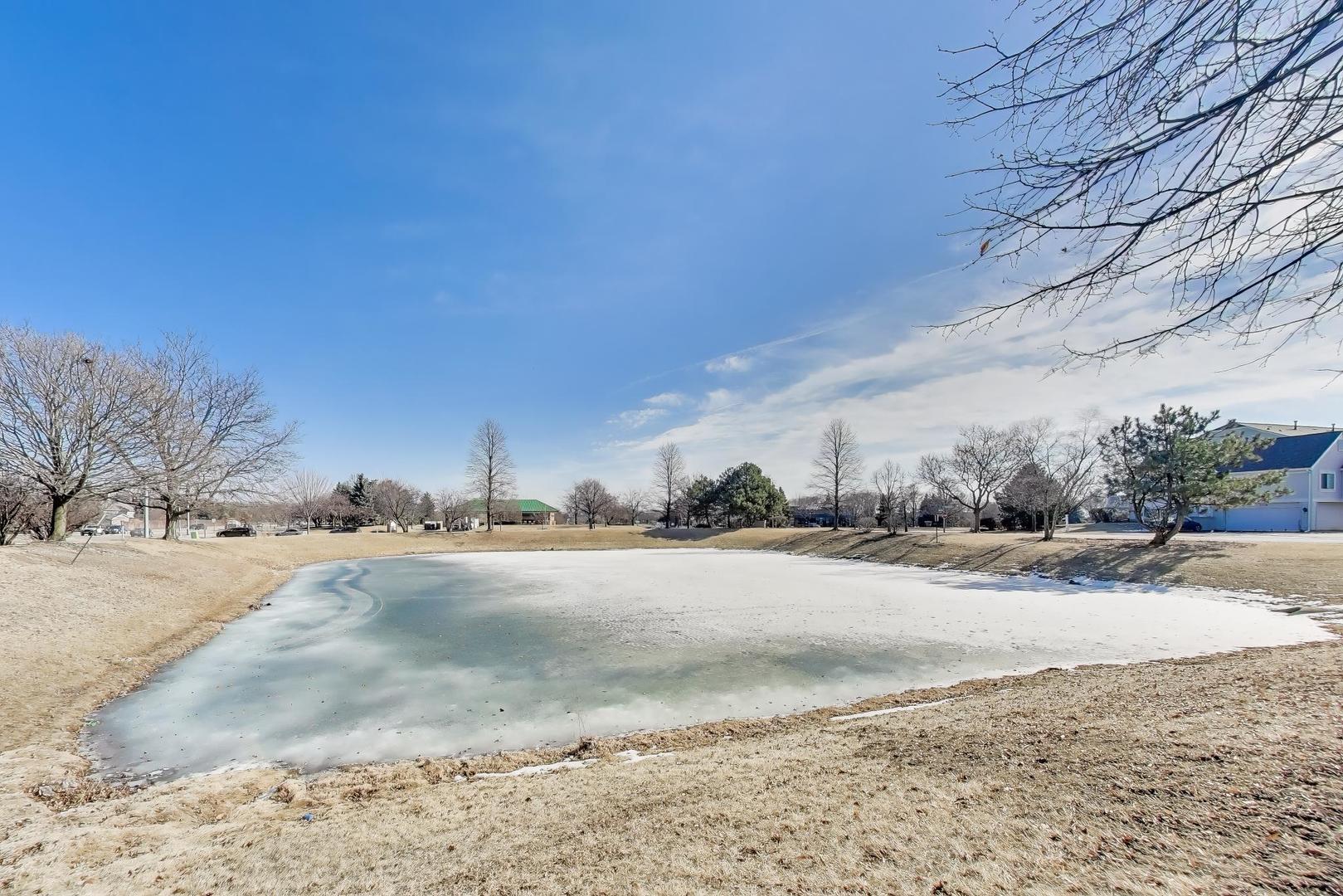 3357 Ravinia Circle Aurora, IL 60504 - Photo 31 of 31