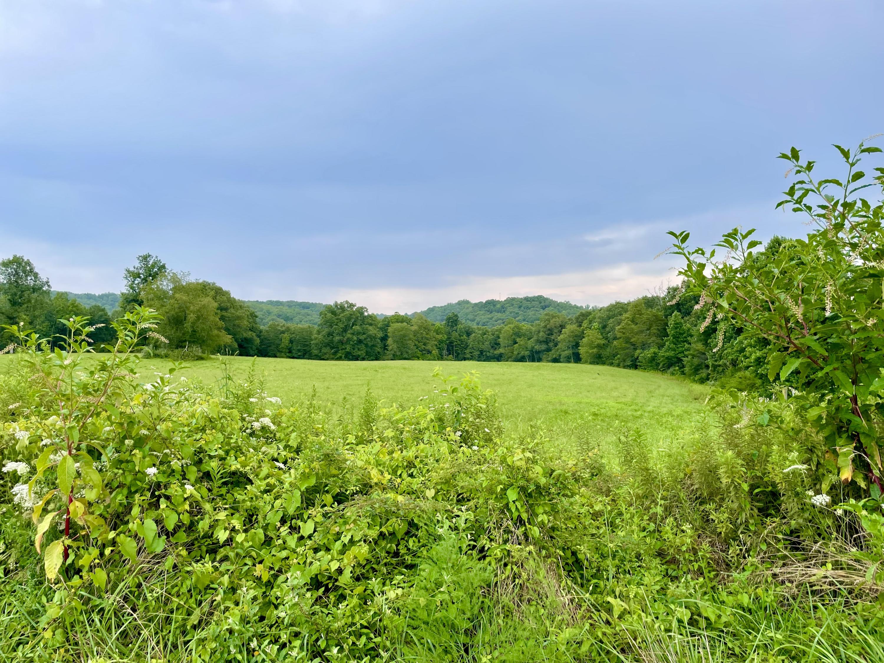 Ben Smith Road Robbins, TN 37852 - Photo 1 of 11 IMG_5119