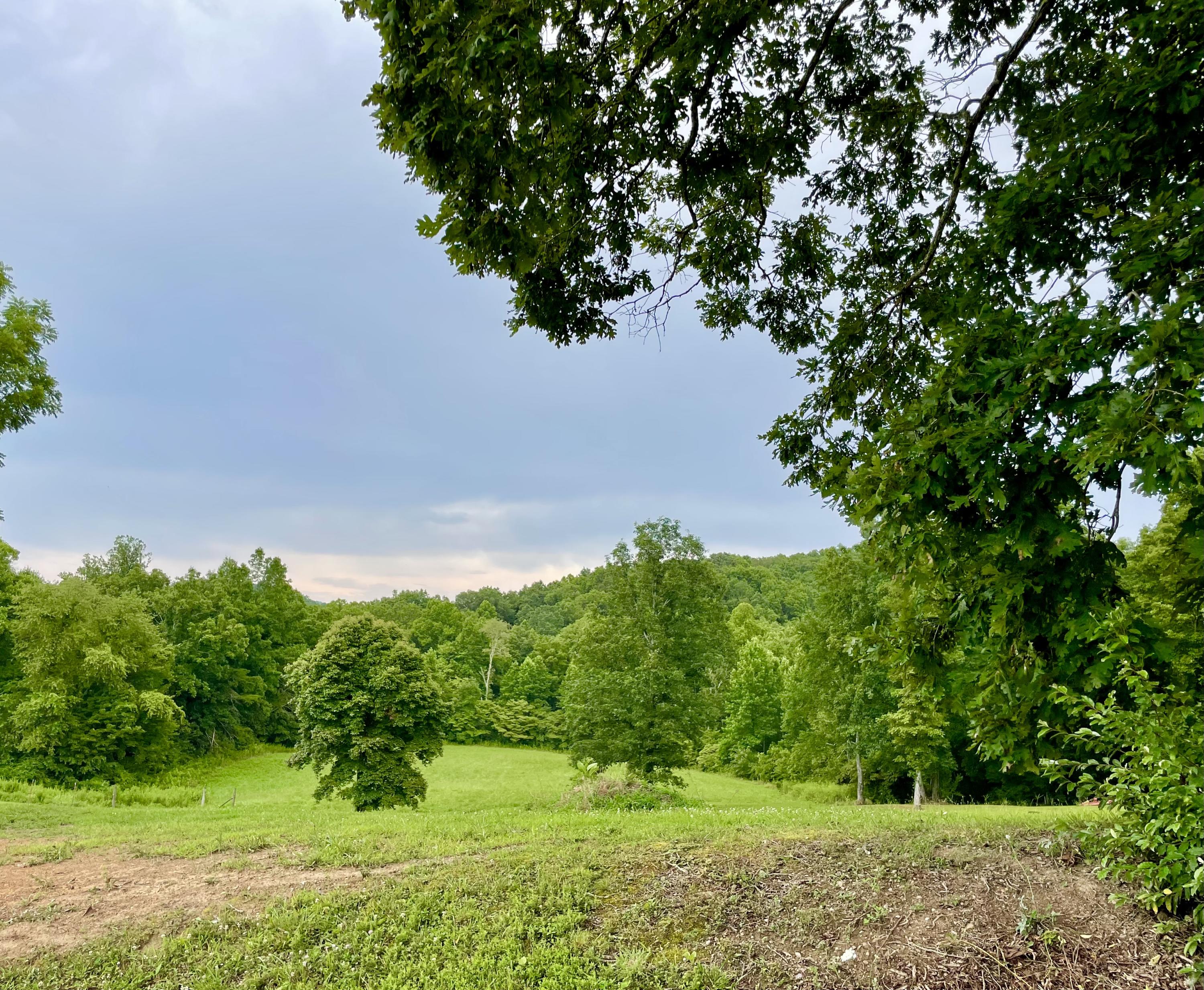 Ben Smith Road Robbins, TN 37852 - Photo 5 of 11 IMG_5121