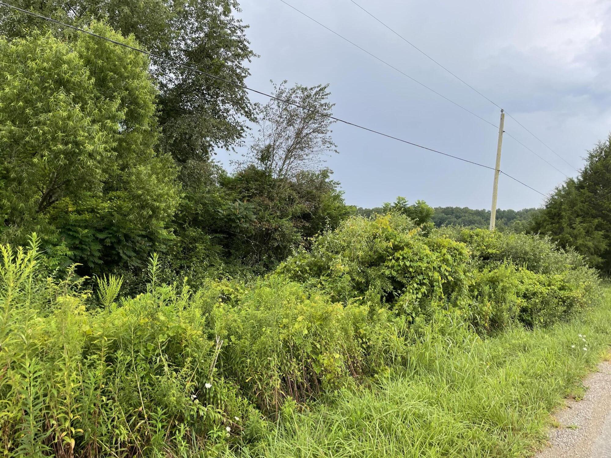 Ben Smith Road Robbins, TN 37852 - Photo 6 of 11 IMG_5118