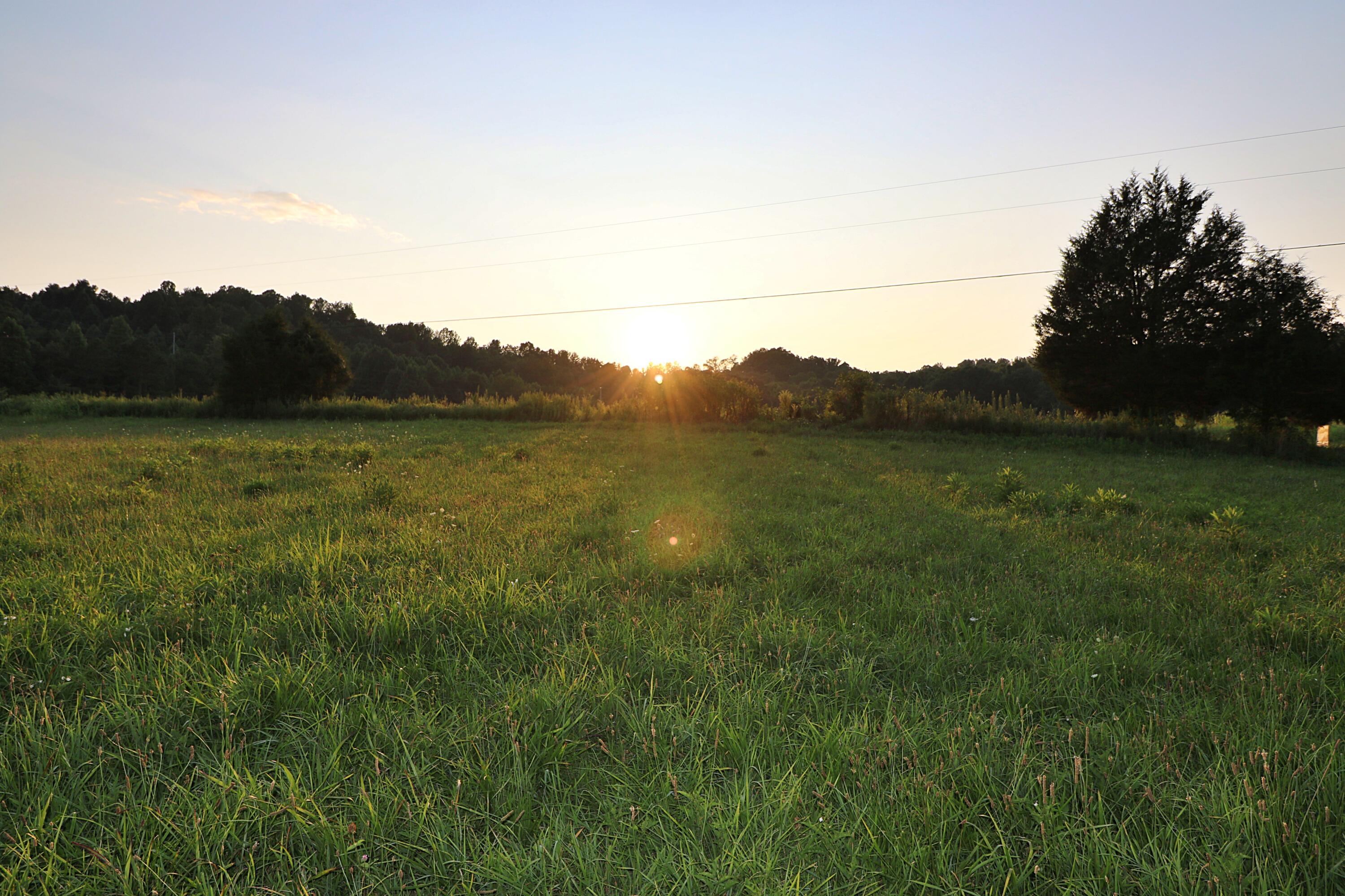 Ben Smith Road Robbins, TN 37852 - Photo 7 of 11 094A5228