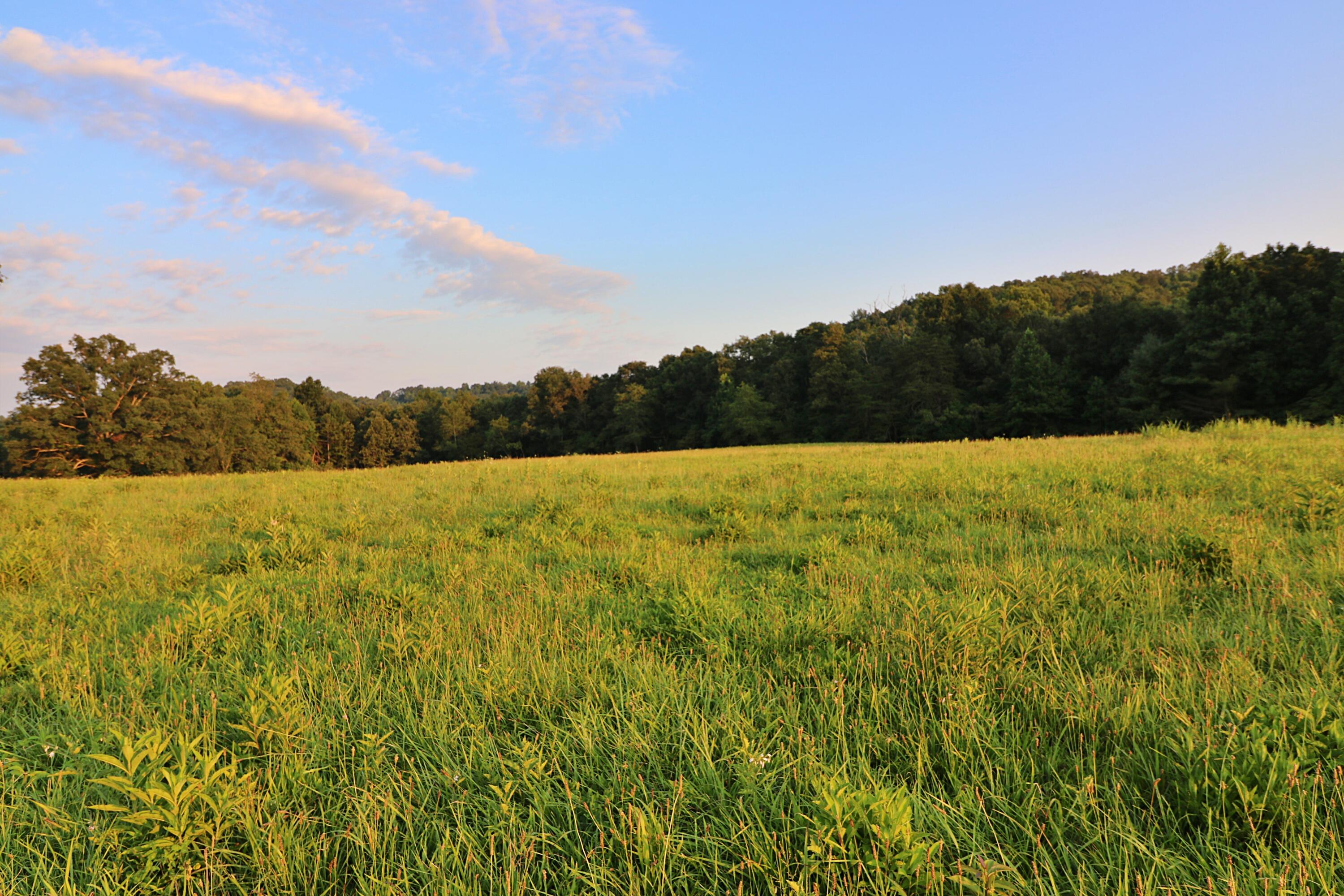 Ben Smith Road Robbins, TN 37852 - Photo 8 of 11 094A5232