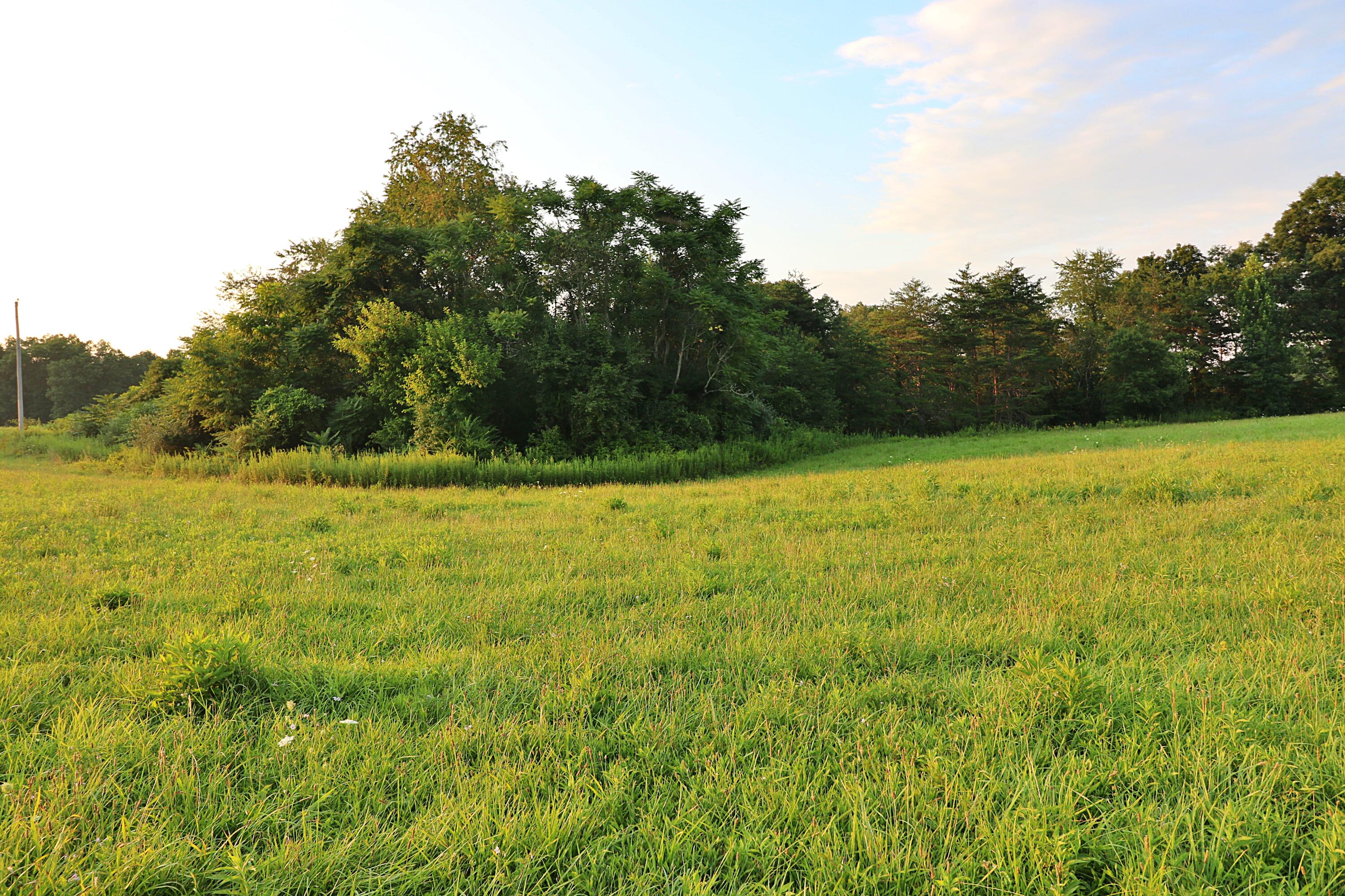 Ben Smith Road Robbins, TN 37852 - Photo 9 of 11 094A5233