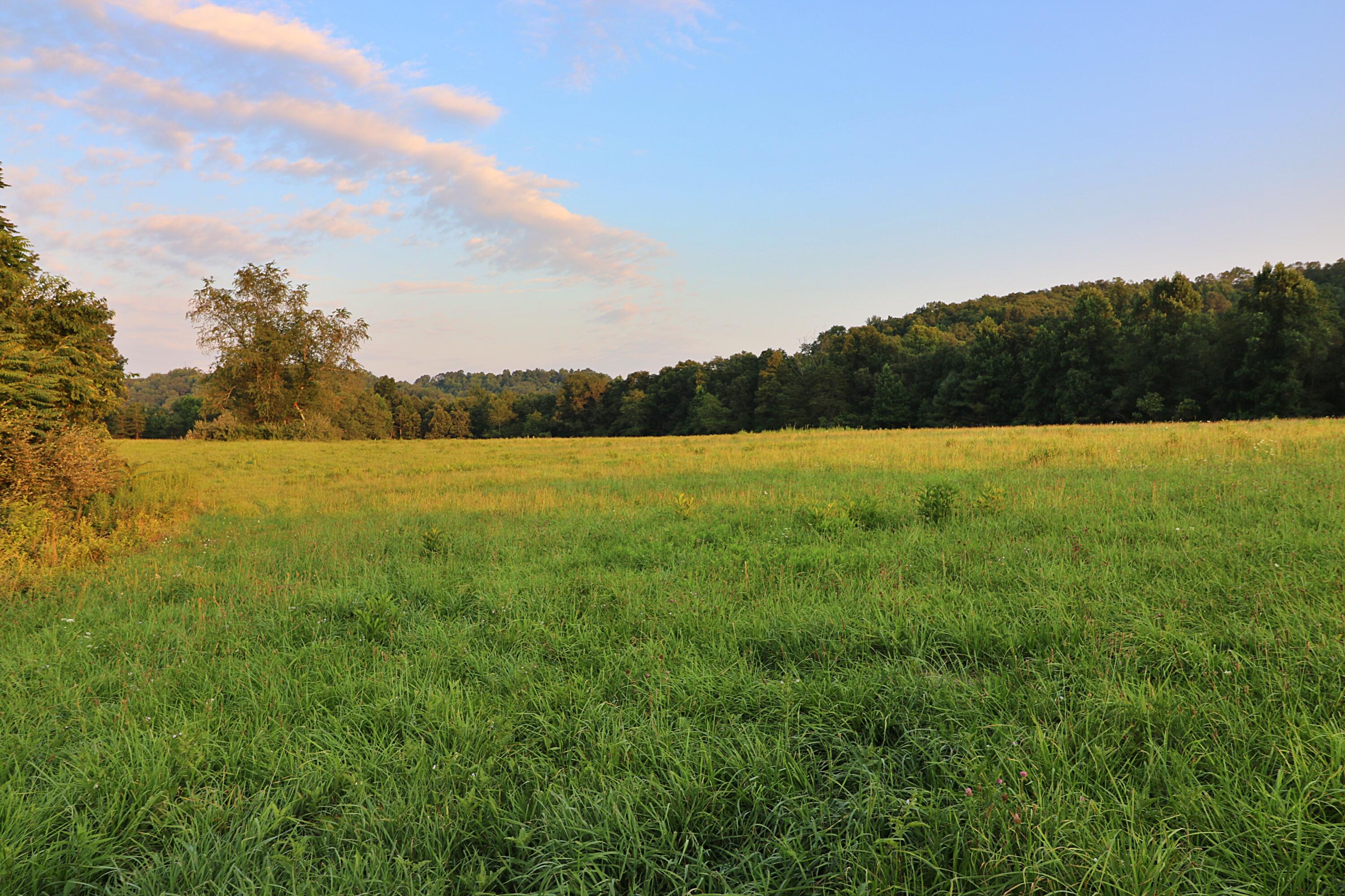 Ben Smith Road Robbins, TN 37852 - Photo 10 of 11 094A5234