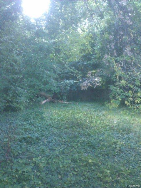 12073 Rutherford Street Detroit, MI 48227 - Photo 5 of 6 IMAG4960.jpg