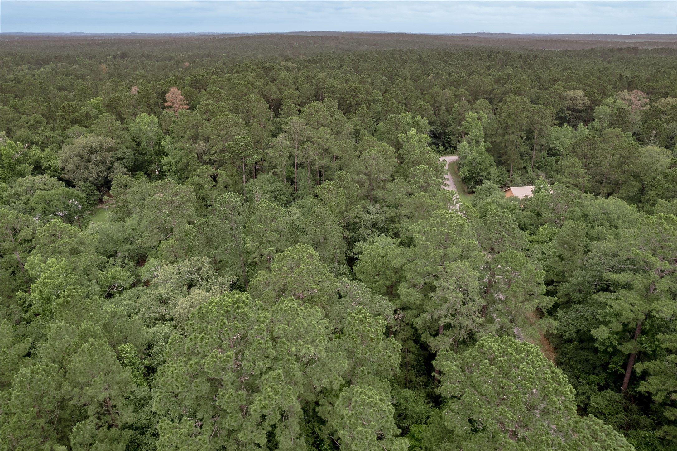 Lot 08 Oak Drive Trinity, TX 75862 - Photo 15 of 32