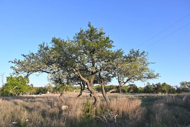 $215,000 | 130 Falling Leaves Court, Unit 44, Blanco, TX 78606