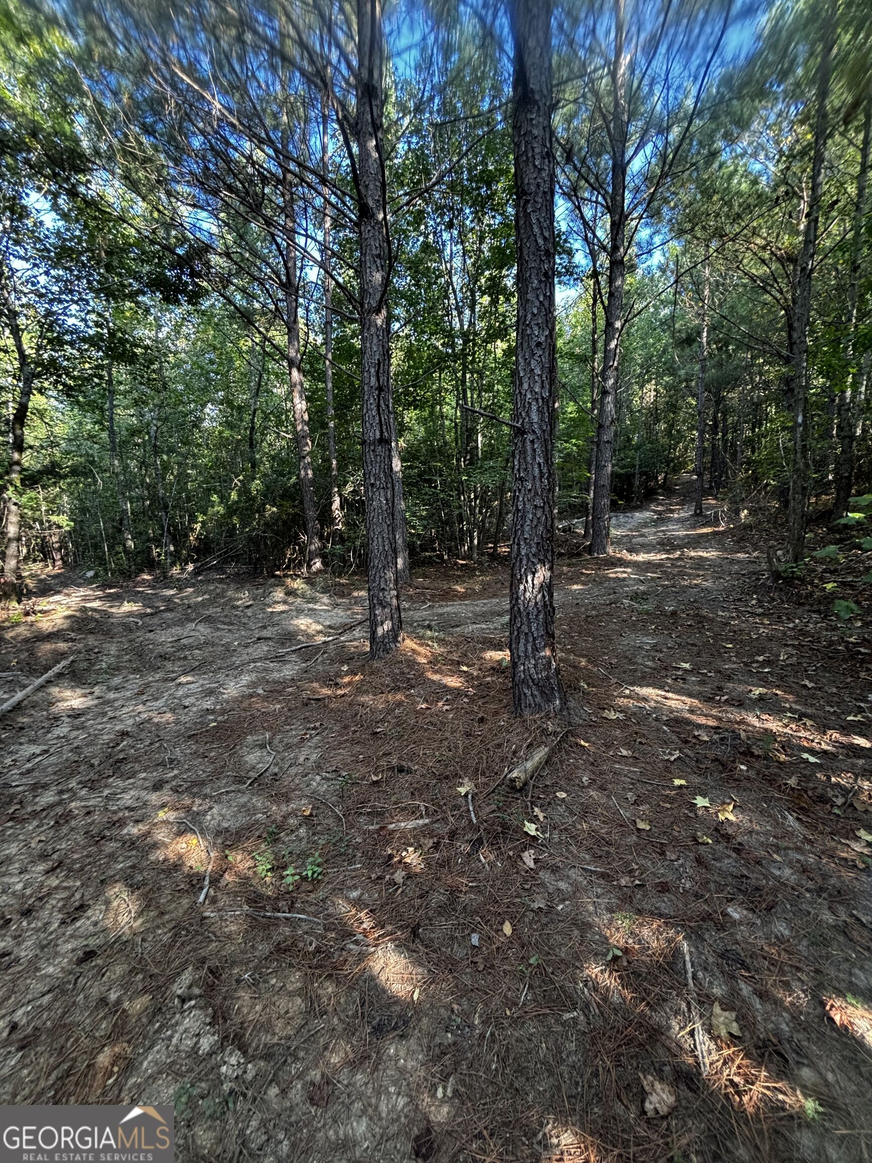 2807 Cedar Creek Road Elberton, GA 30635 - Photo 22 of 40 Gallery Image 22