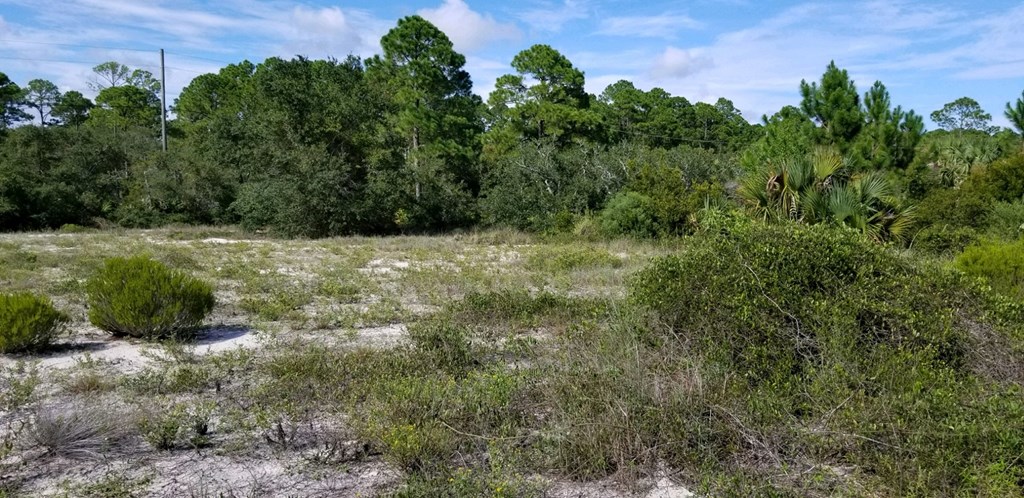 5 Indian Pass Road Port St. Joe, FL 32456 - Photo 2 of 3