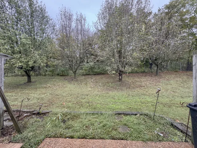 a view of a yard with a tree
