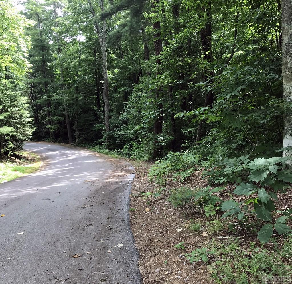 Lot 2 Grouse Ridge Lane Brevard, NC 28712 - Photo 5 of 10 Gallery Image 5