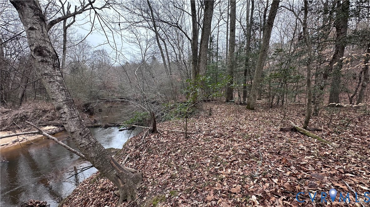 0 Boydton Plank Road Dinwiddie, VA 23841 - Photo 12 of 13