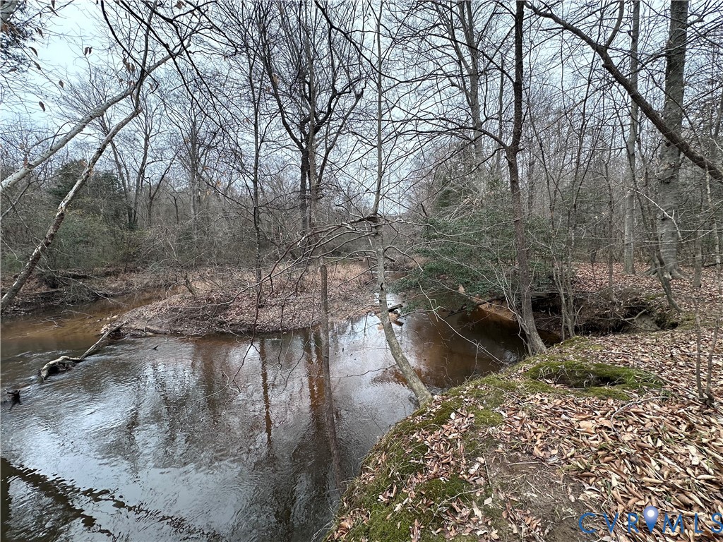 0 Boydton Plank Road Dinwiddie, VA 23841 - Photo 4 of 13