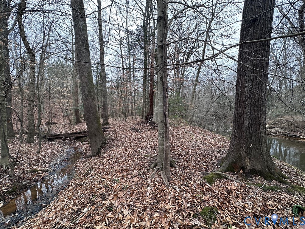 0 Boydton Plank Road Dinwiddie, VA 23841 - Photo 6 of 13