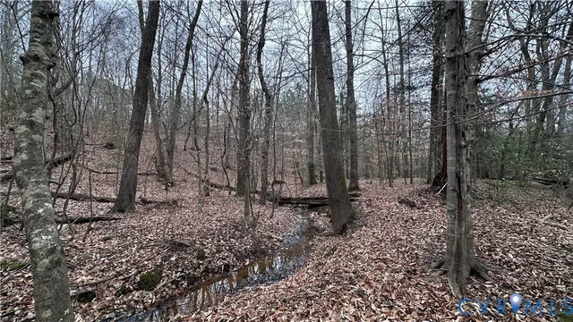 $74,000 | 0 Boydton Plank Road, Dinwiddie, VA 23841