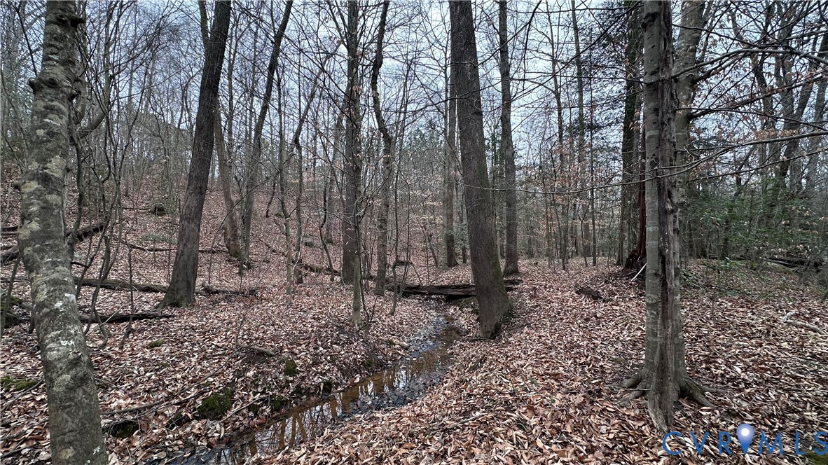 0 Boydton Plank Road Dinwiddie, VA 23841 - Photo 8 of 13