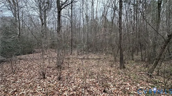 a view of a yard with trees in the background