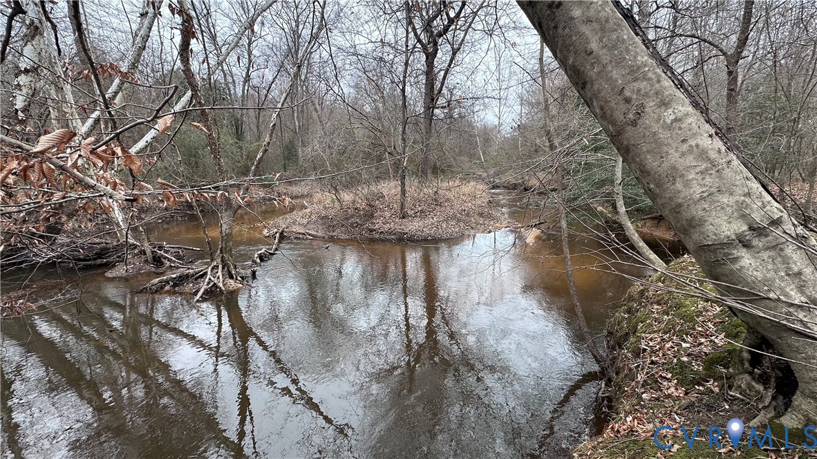 0 Boydton Plank Road Dinwiddie, VA 23841 - Photo 10 of 13