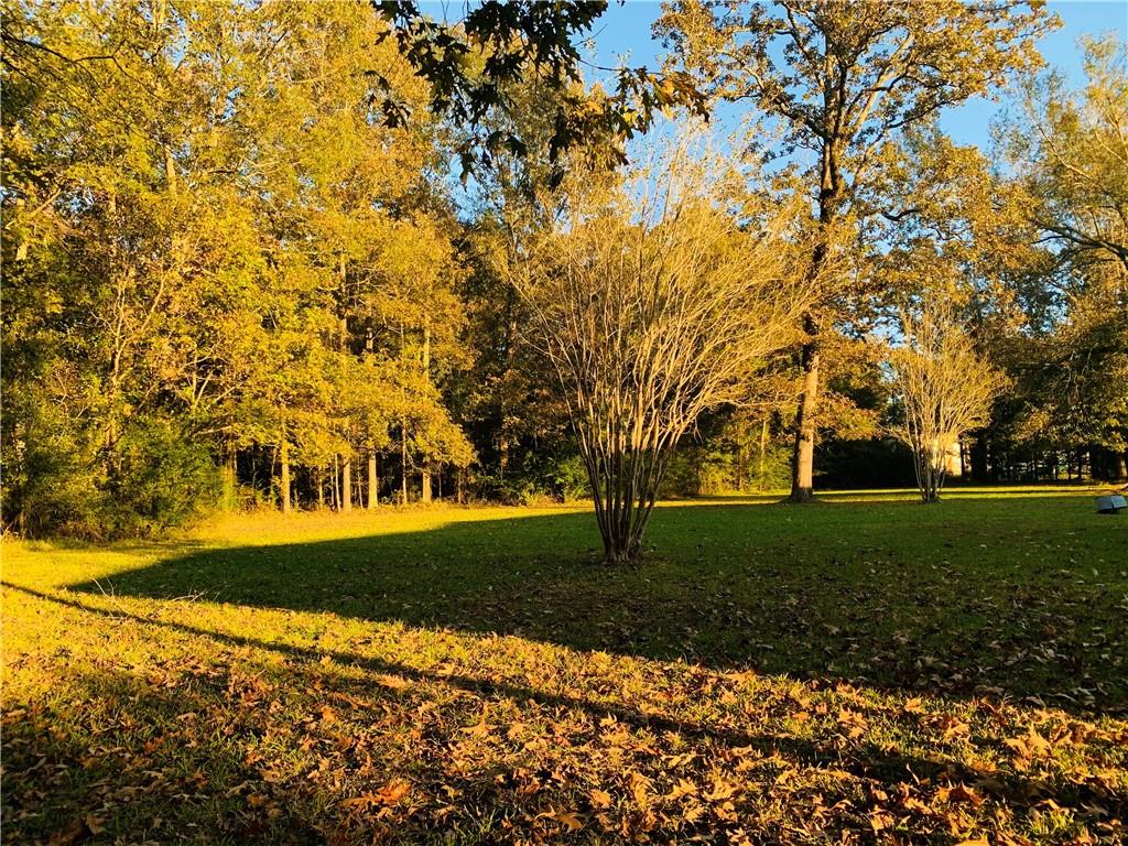369 Hooper Road Deville, LA 71328 - Photo 41 of 44