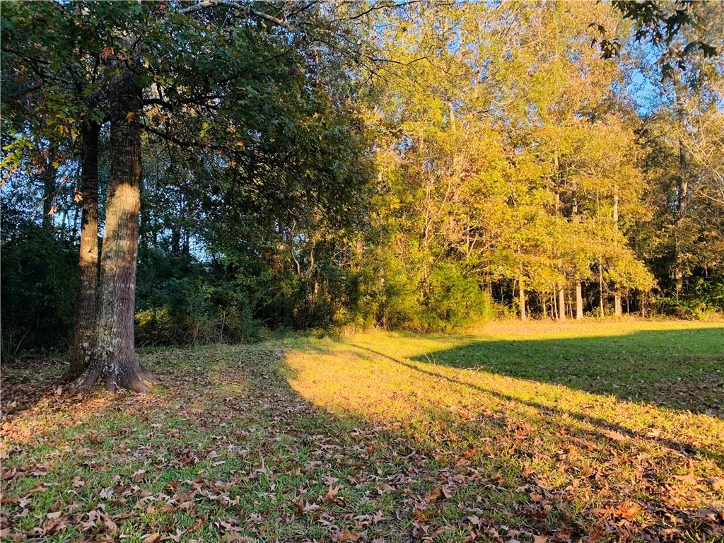 369 Hooper Road Deville, LA 71328 - Photo 42 of 44