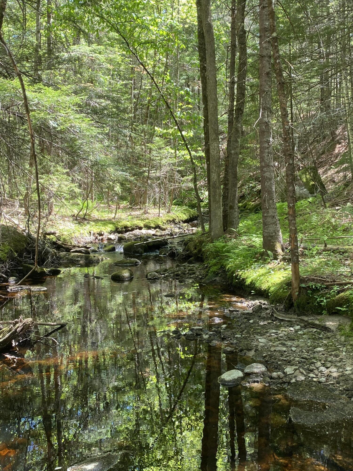Lot 10 Norway Road Harrison, ME 04040 - Photo 23 of 41 C2D47620-E5D3-4524-9751-6B3D120D9CB6