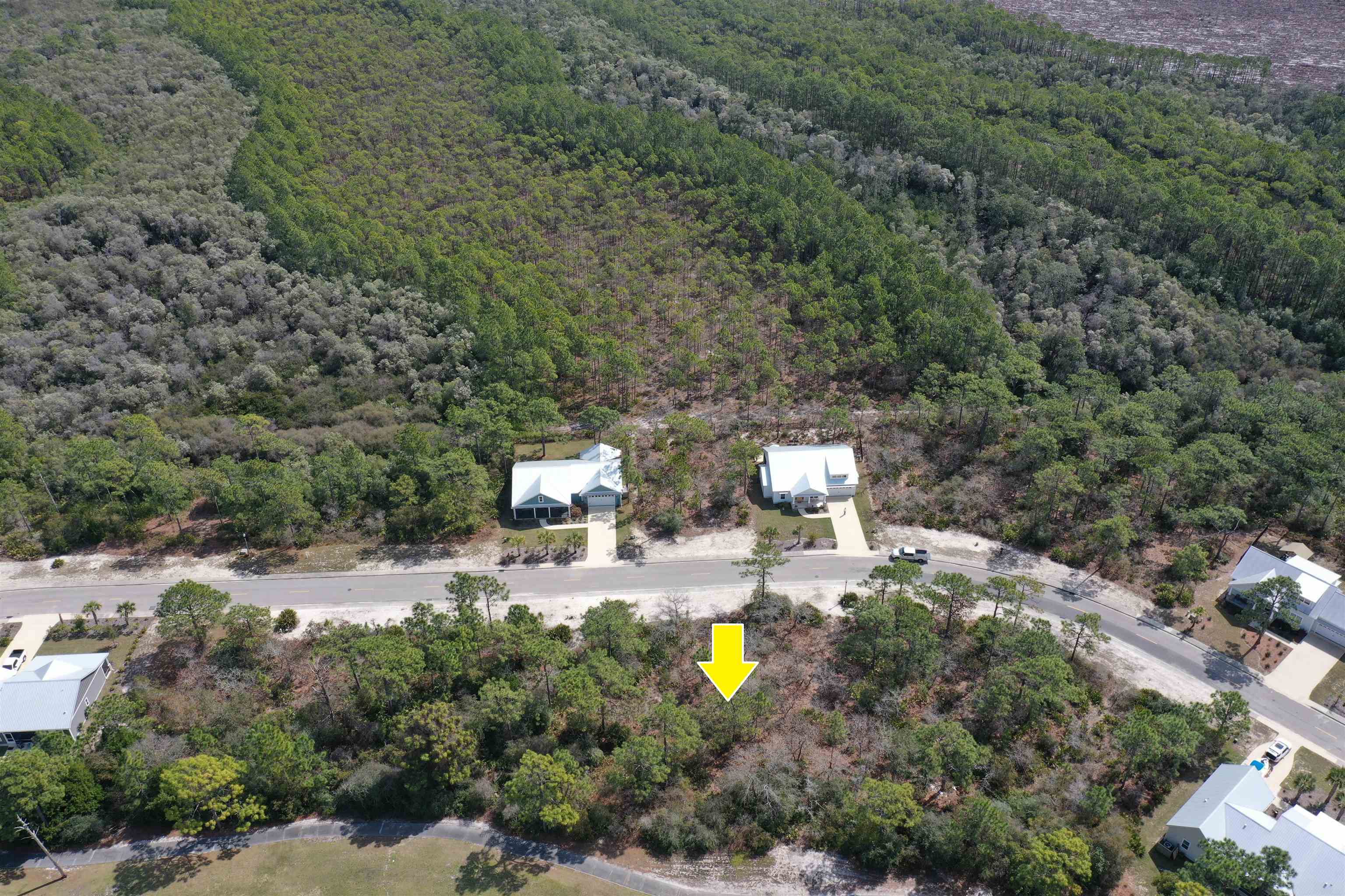 309 Royal Tern Way Carrabelle, FL 32322 - Photo 24 of 36